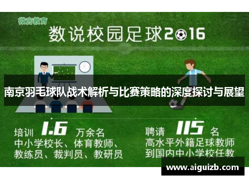 南京羽毛球队战术解析与比赛策略的深度探讨与展望